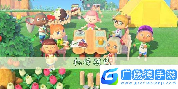 集合啦動(dòng)物森友會(huì)機(jī)場顏色可以換嗎-集合啦動(dòng)物森友會(huì)機(jī)場顏色更換方法